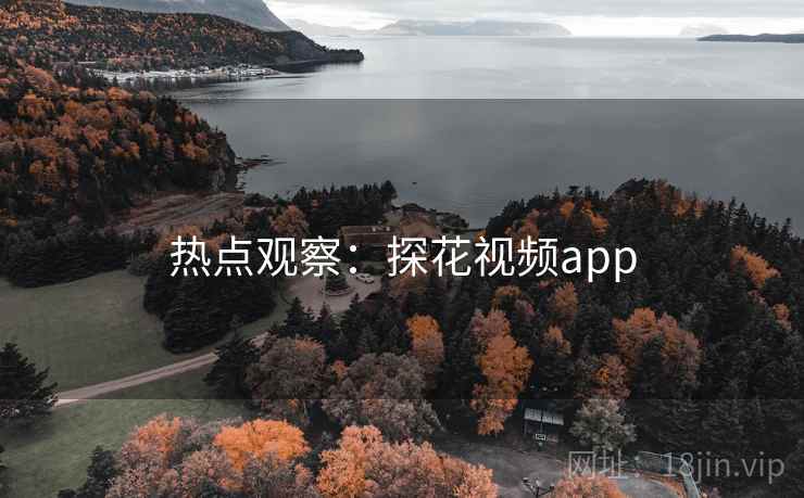 热点观察：探花视频app