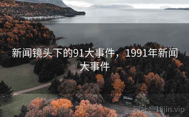 新闻镜头下的91大事件，1991年新闻大事件
