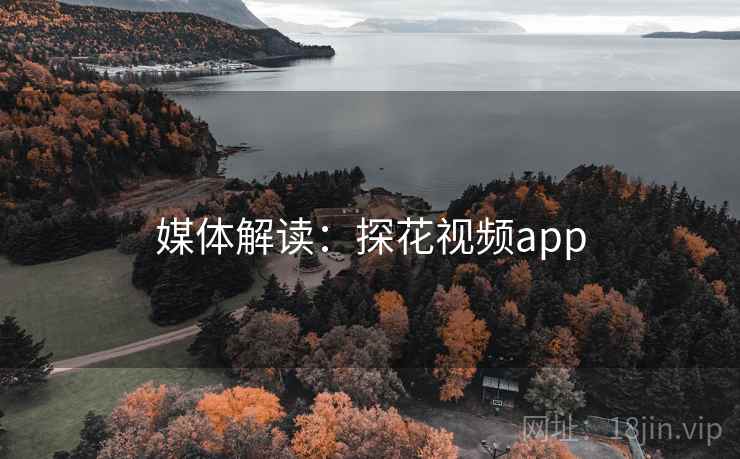 媒体解读：探花视频app