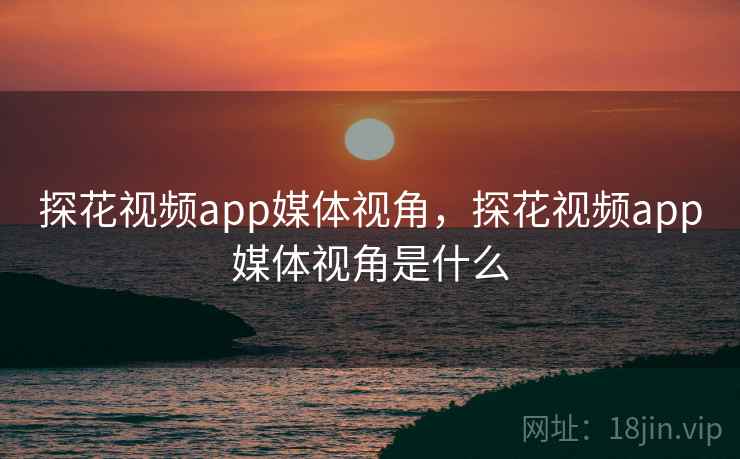 探花视频app媒体视角，探花视频app媒体视角是什么