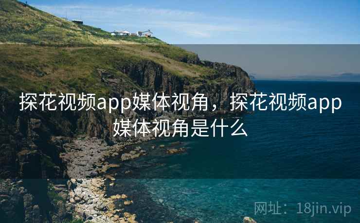 探花视频app媒体视角,探花视频app媒体视角是什么 探花视频app媒体视角,探花视频app媒体视角是什么